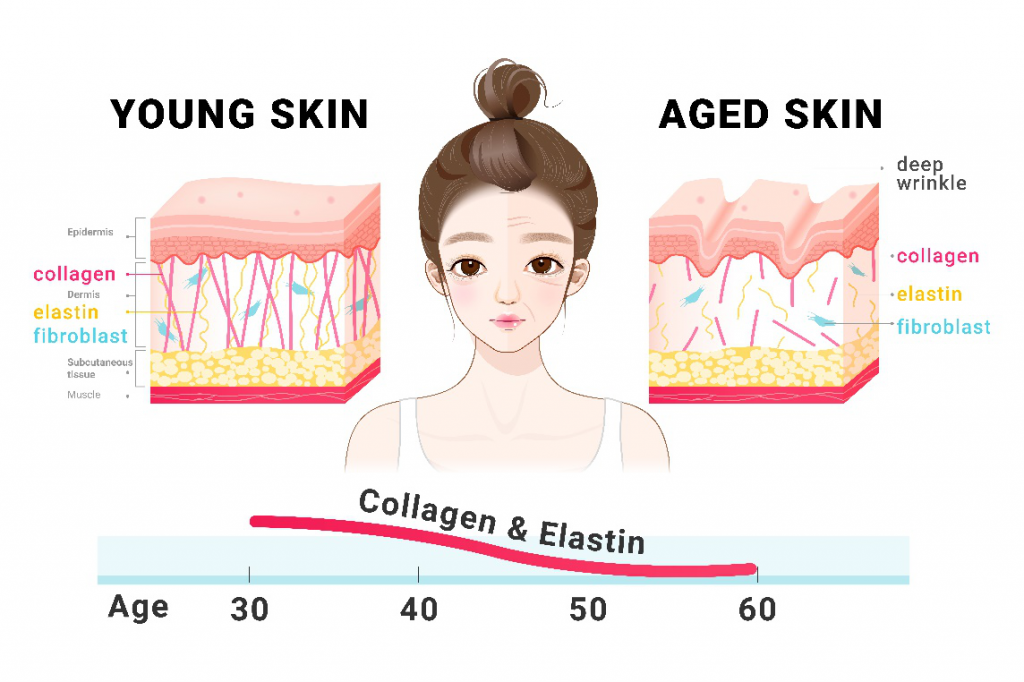 collagen powder 