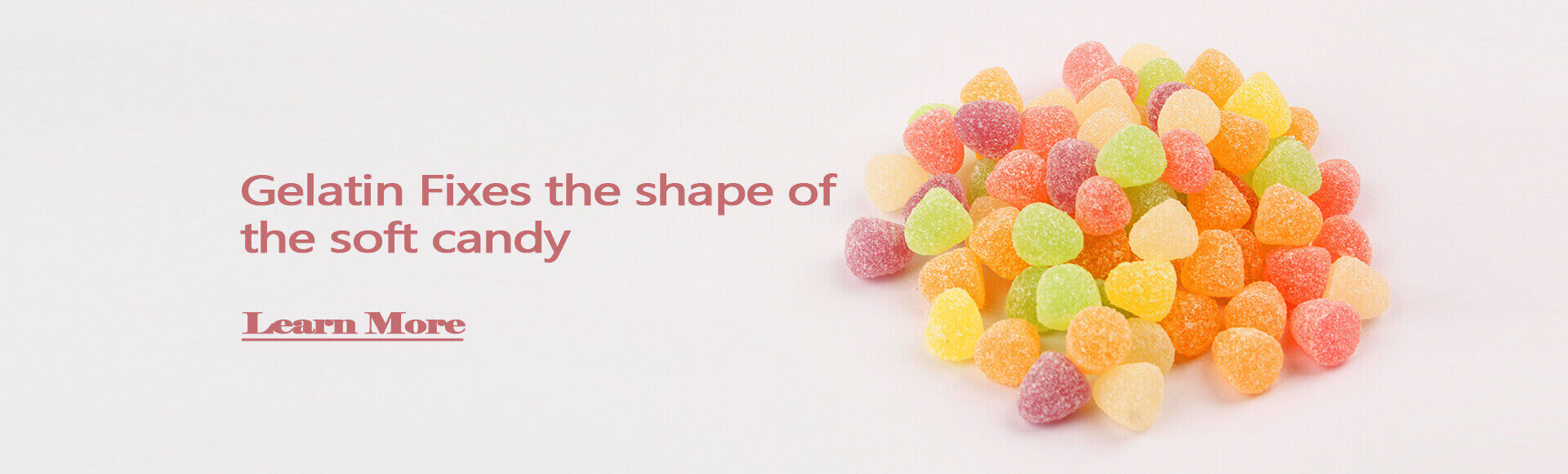 Gelatin & Collagen Peptide Manufacturer