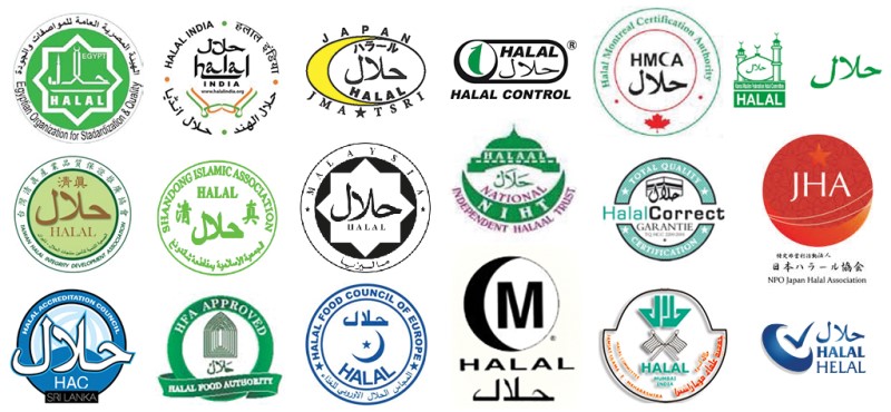 Halal Gelatin, Bovine Gelatine Halal, Beef Gelatin Halal